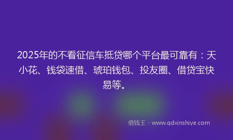 2025年的不看征信车抵贷哪个平台最可靠有：天小花、钱袋速借、琥珀钱包、投友圈、借贷宝快易等。