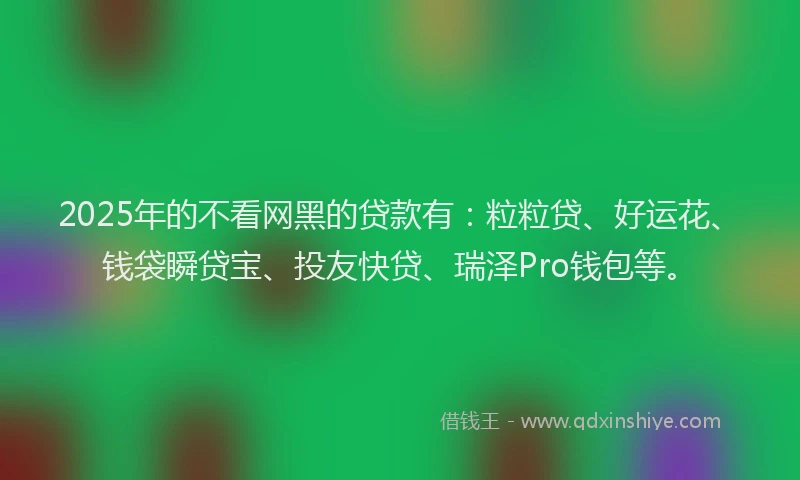 2025年的不看网黑的贷款有：粒粒贷、好运花、钱袋瞬贷宝、投友快贷、瑞泽Pro钱包等。
