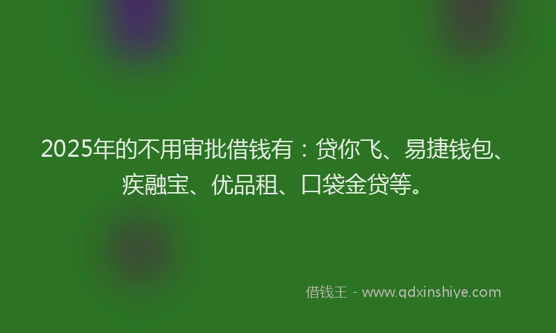 2025年的不用审批借钱有：贷你飞、易捷钱包、疾融宝、优品租、口袋金贷等。