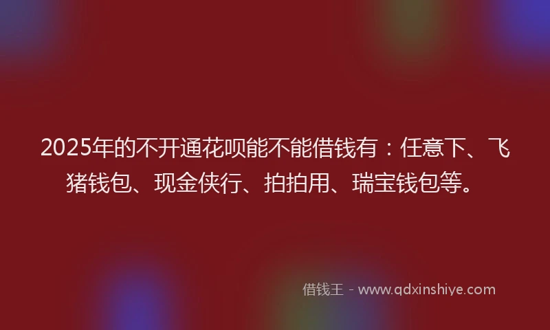 2025年的不开通花呗能不能借钱有：任意下、飞猪钱包、现金侠行、拍拍用、瑞宝钱包等。