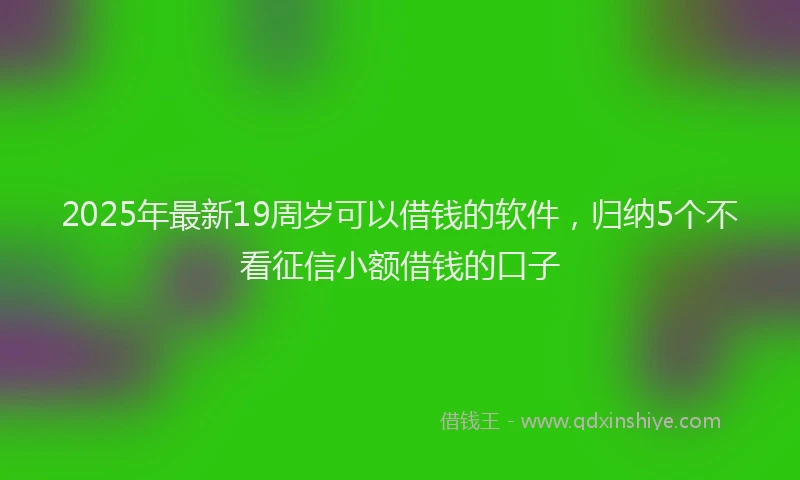 2025年最新19周岁可以借钱的软件，归纳5个不看征信小额借钱的口子