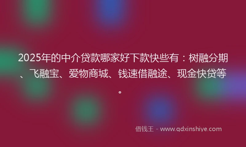 2025年的中介贷款哪家好下款快些有：树融分期、飞融宝、爱物商城、钱速借融途、现金快贷等。