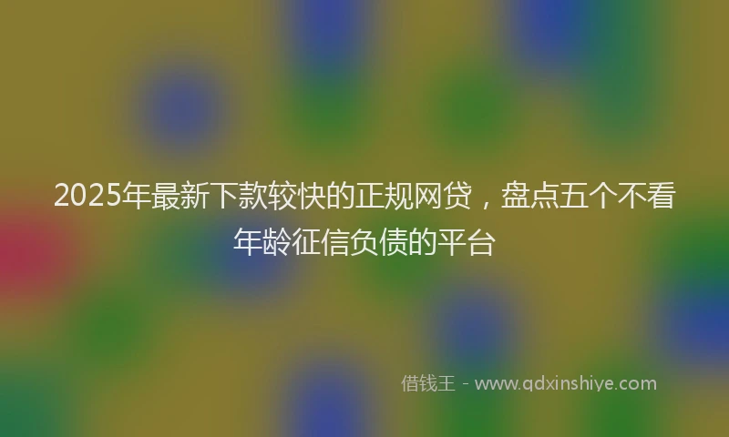 2025年最新下款较快的正规网贷，盘点五个不看年龄征信负债的平台