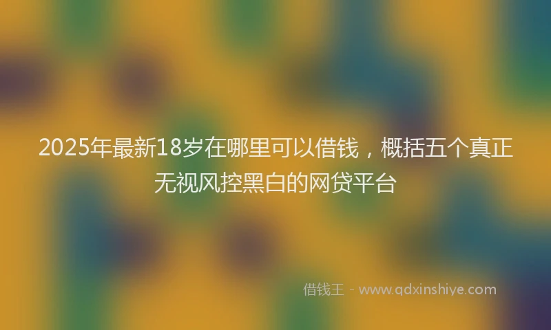 2025年最新18岁在哪里可以借钱，概括五个真正无视风控黑白的网贷平台