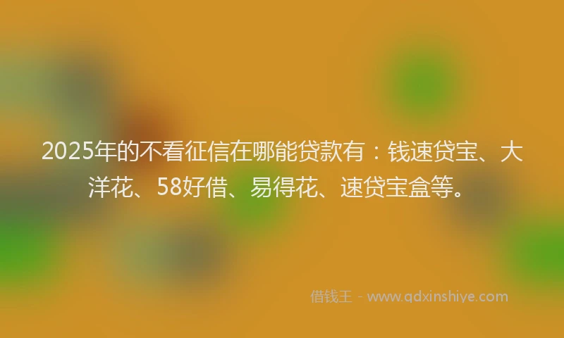 2025年的不看征信在哪能贷款有：钱速贷宝、大洋花、58好借、易得花、速贷宝盒等。
