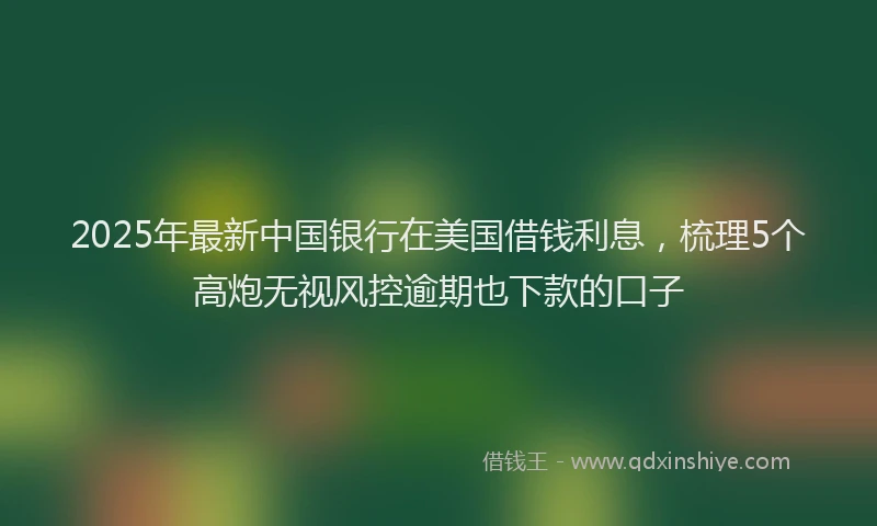 2025年最新中国银行在美国借钱利息，梳理5个高炮无视风控逾期也下款的口子