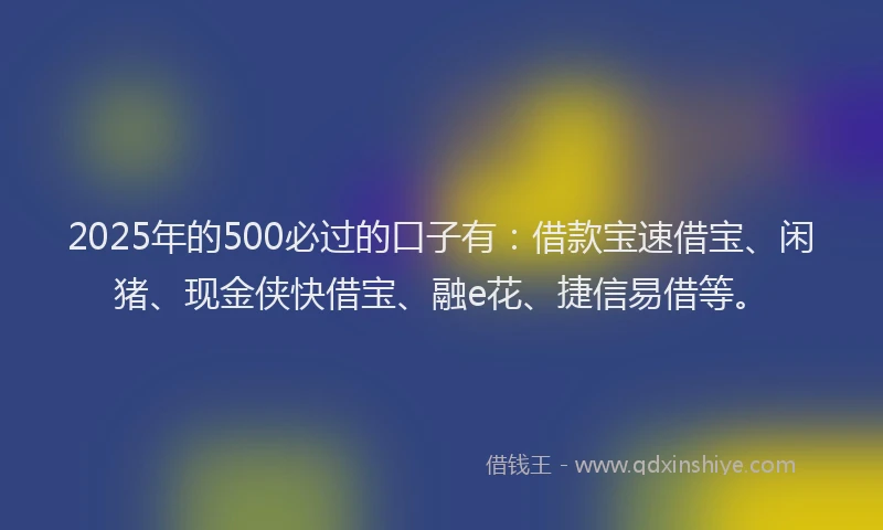 2025年的500必过的口子有：借款宝速借宝、闲猪、现金侠快借宝、融e花、捷信易借等。