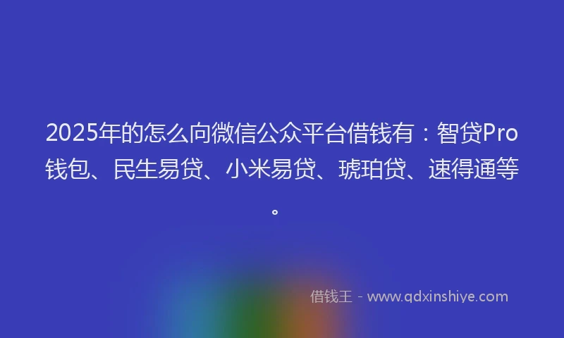 2025年的怎么向微信公众平台借钱有：智贷Pro钱包、民生易贷、小米易贷、琥珀贷、速得通等。