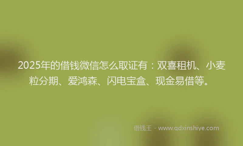 2025年的借钱微信怎么取证有：双喜租机、小麦粒分期、爱鸿森、闪电宝盒、现金易借等。
