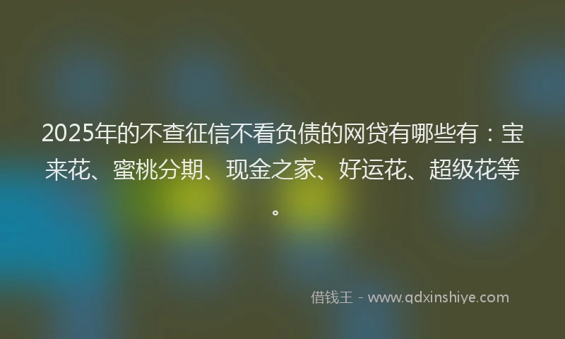 2025年的不查征信不看负债的网贷有哪些有：宝来花、蜜桃分期、现金之家、好运花、超级花等。