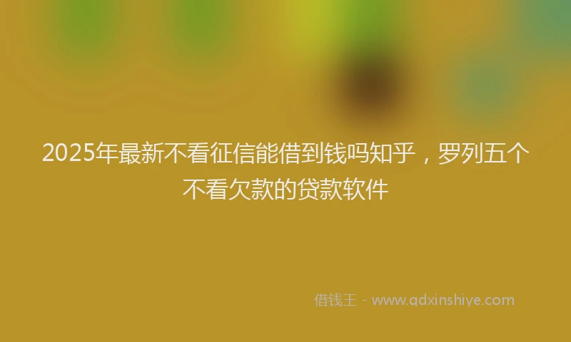 2025年最新不看征信能借到钱吗知乎，罗列五个不看欠款的贷款软件