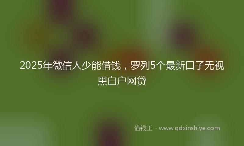 2025年微信人少能借钱，罗列5个最新口子无视黑白户网贷