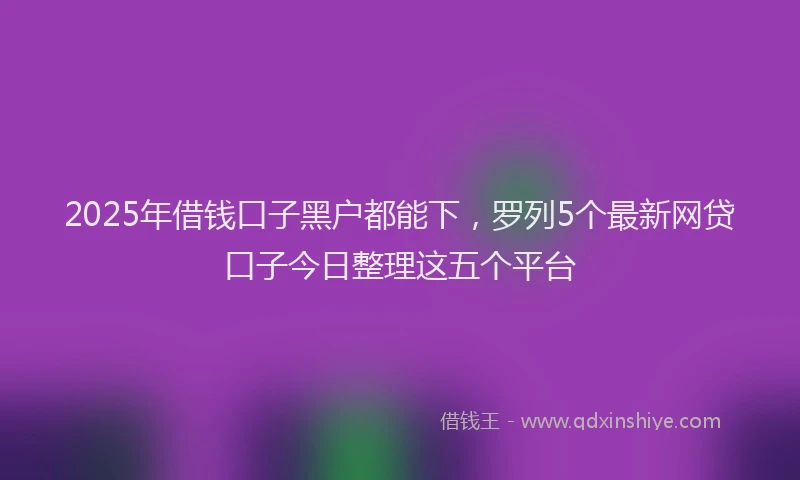 2025年借钱口子黑户都能下，罗列5个最新网贷口子今日整理这五个平台