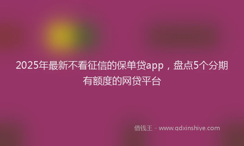 2025年最新不看征信的保单贷app，盘点5个分期有额度的网贷平台