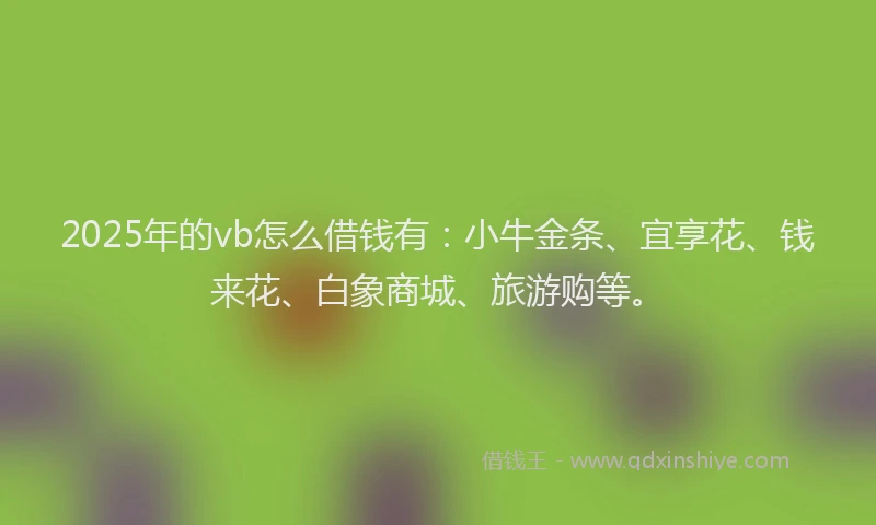 2025年的vb怎么借钱有：小牛金条、宜享花、钱来花、白象商城、旅游购等。