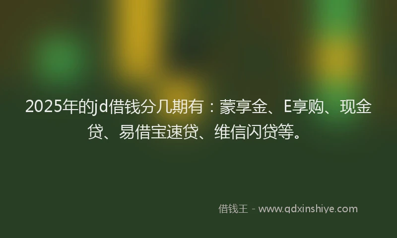 2025年的jd借钱分几期有：蒙享金、E享购、现金贷、易借宝速贷、维信闪贷等。