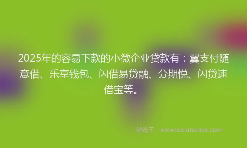 2025年的容易下款的小微企业贷款有：翼支付随意借、乐享钱包、闪借易贷融、分期悦、闪贷速借宝等。