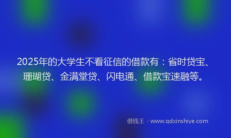 2025年的大学生不看征信的借款有：省时贷宝、珊瑚贷、金满堂贷、闪电通、借款宝速融等。