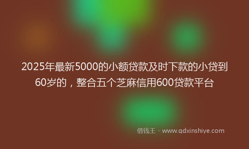 2025年最新5000的小额贷款及时下款的小贷到60岁的，整合五个芝麻信用600贷款平台