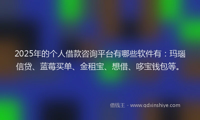 2025年的个人借款咨询平台有哪些软件有：玛瑙信贷、蓝莓买单、金租宝、想借、哆宝钱包等。