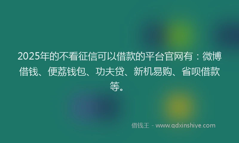 2025年的不看征信可以借款的平台官网有：微博借钱、便荔钱包、功夫贷、新机易购、省呗借款等。