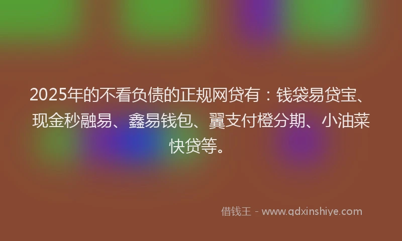 2025年的不看负债的正规网贷有：钱袋易贷宝、现金秒融易、鑫易钱包、翼支付橙分期、小油菜快贷等。
