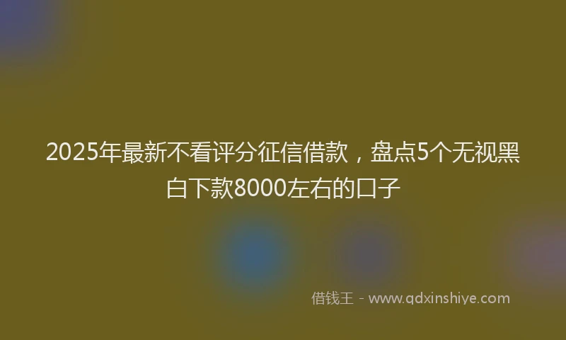 2025年最新不看评分征信借款，盘点5个无视黑白下款8000左右的口子