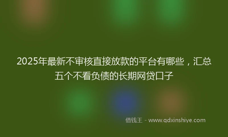 2025年最新不审核直接放款的平台有哪些，汇总五个不看负债的长期网贷口子