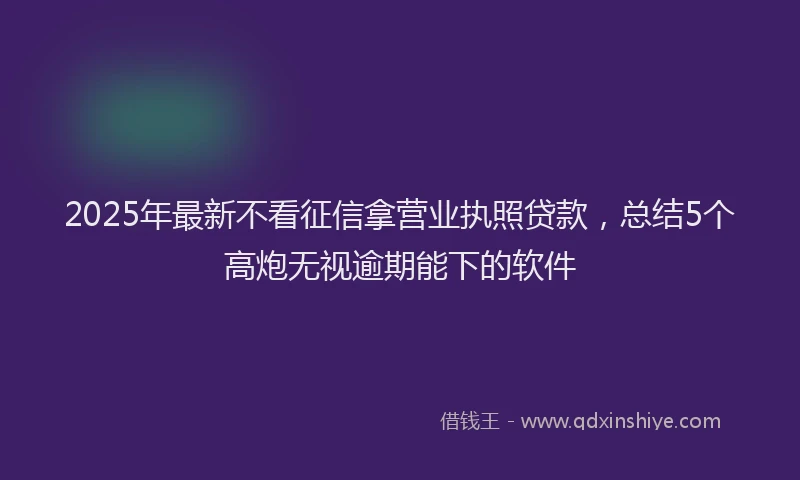 2025年最新不看征信拿营业执照贷款，总结5个高炮无视逾期能下的软件