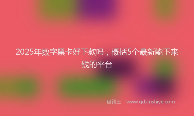 2025年数字黑卡好下款吗，概括5个最新能下来钱的平台