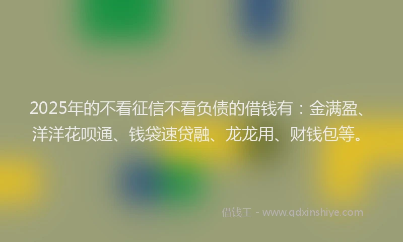 2025年的不看征信不看负债的借钱有：金满盈、洋洋花呗通、钱袋速贷融、龙龙用、财钱包等。