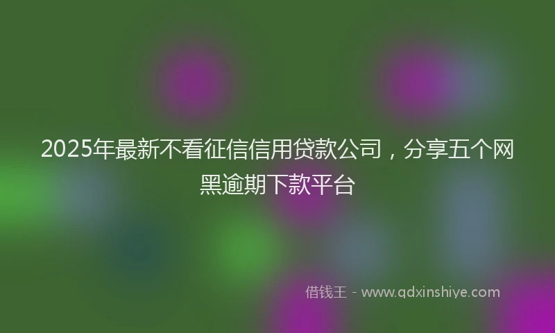 2025年最新不看征信信用贷款公司，分享五个网黑逾期下款平台