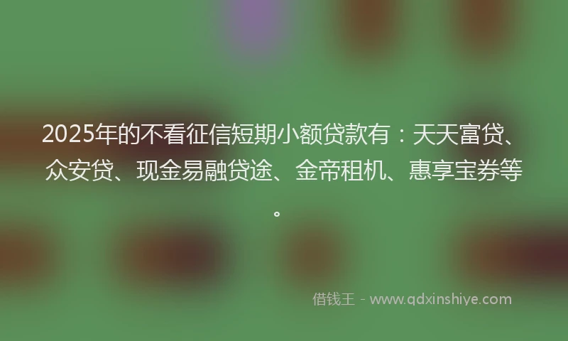 2025年的不看征信短期小额贷款有：天天富贷、众安贷、现金易融贷途、金帝租机、惠享宝券等。