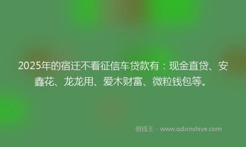 2025年的宿迁不看征信车贷款有：现金直贷、安鑫花、龙龙用、爱木财富、微粒钱包等。