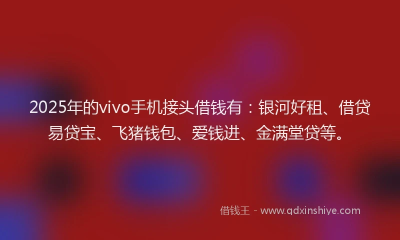 2025年的vivo手机接头借钱有：银河好租、借贷易贷宝、飞猪钱包、爱钱进、金满堂贷等。