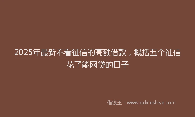 2025年最新不看征信的高额借款，概括五个征信花了能网贷的口子