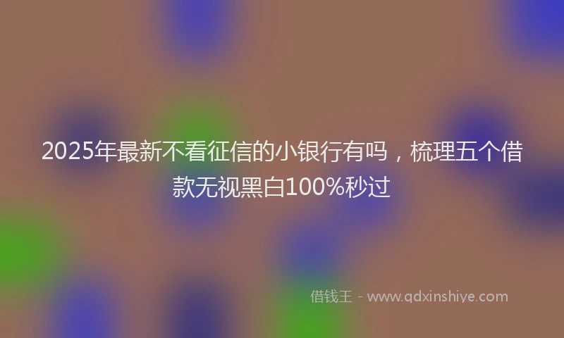 2025年最新不看征信的小银行有吗，梳理五个借款无视黑白100%秒过