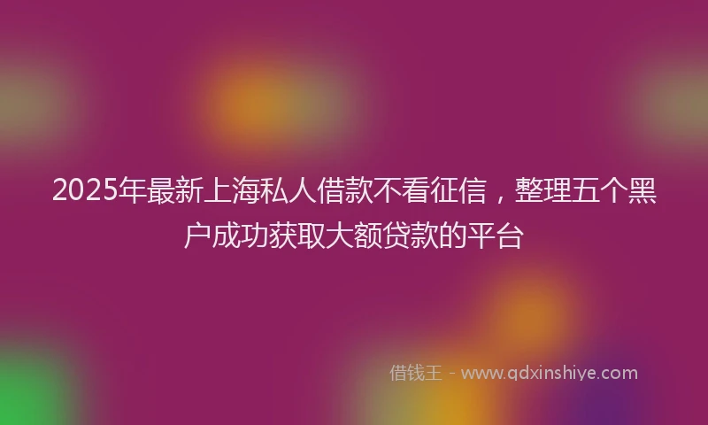 2025年最新上海私人借款不看征信，整理五个黑户成功获取大额贷款的平台