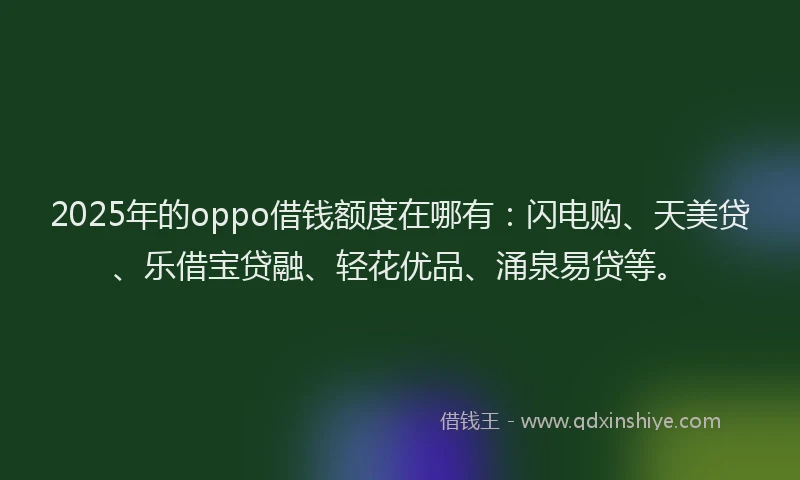 2025年的oppo借钱额度在哪有：闪电购、天美贷、乐借宝贷融、轻花优品、涌泉易贷等。