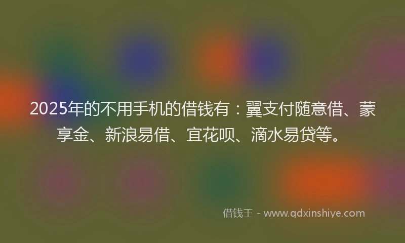 2025年的不用手机的借钱有：翼支付随意借、蒙享金、新浪易借、宜花呗、滴水易贷等。
