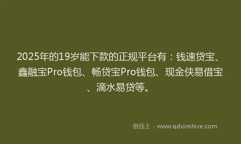 2025年的19岁能下款的正规平台有：钱速贷宝、鑫融宝Pro钱包、畅贷宝Pro钱包、现金侠易借宝、滴水易贷等。