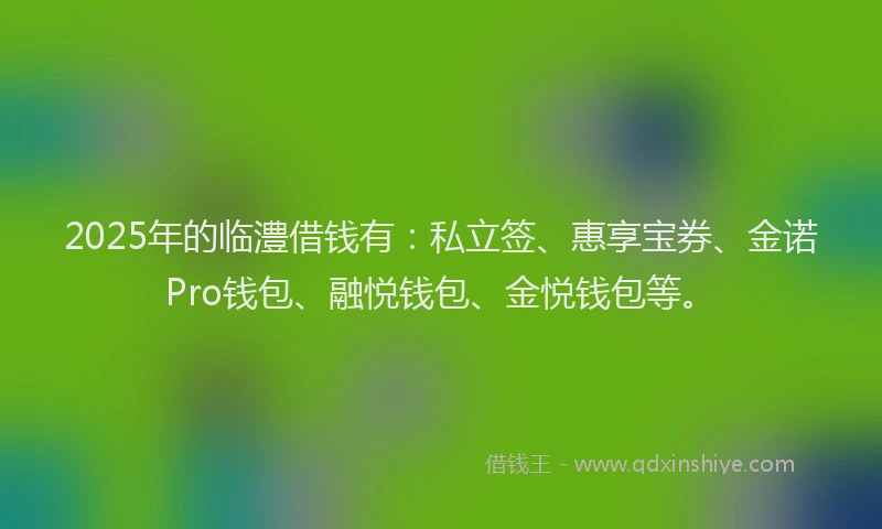 2025年的临澧借钱有：私立签、惠享宝券、金诺Pro钱包、融悦钱包、金悦钱包等。