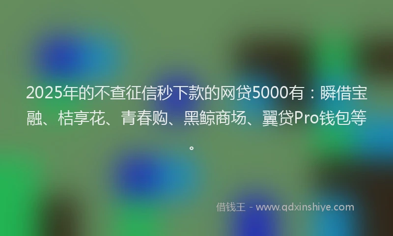 2025年的不查征信秒下款的网贷5000有：瞬借宝融、桔享花、青春购、黑鲸商场、翼贷Pro钱包等。