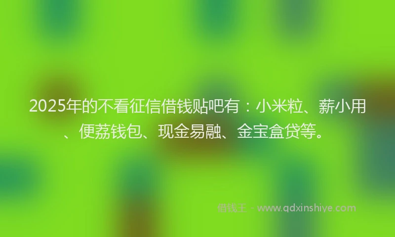 2025年的不看征信借钱贴吧有：小米粒、薪小用、便荔钱包、现金易融、金宝盒贷等。