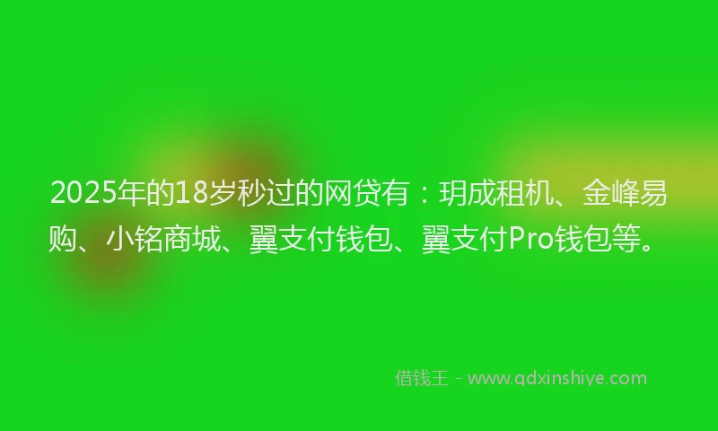 2025年的18岁秒过的网贷有：玥成租机、金峰易购、小铭商城、翼支付钱包、翼支付Pro钱包等。