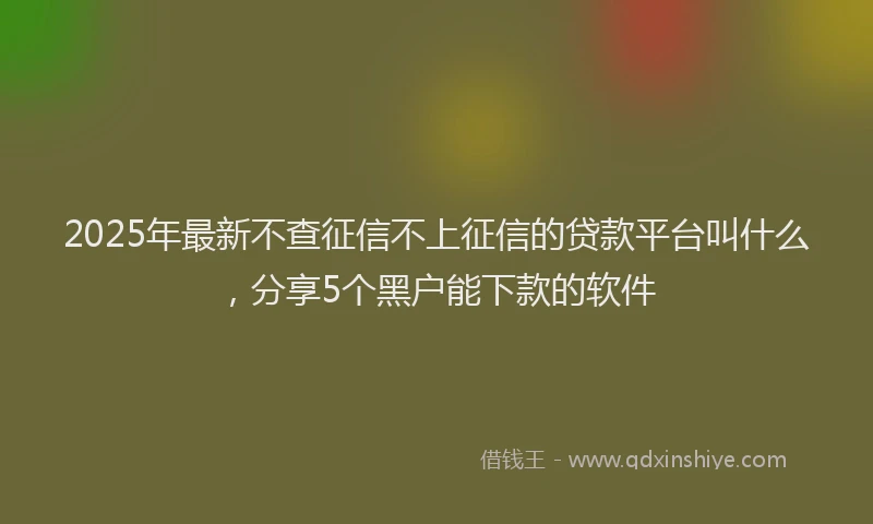 2025年最新不查征信不上征信的贷款平台叫什么，分享5个黑户能下款的软件