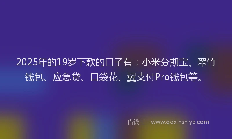 2025年的19岁下款的口子有：小米分期宝、翠竹钱包、应急贷、口袋花、翼支付Pro钱包等。