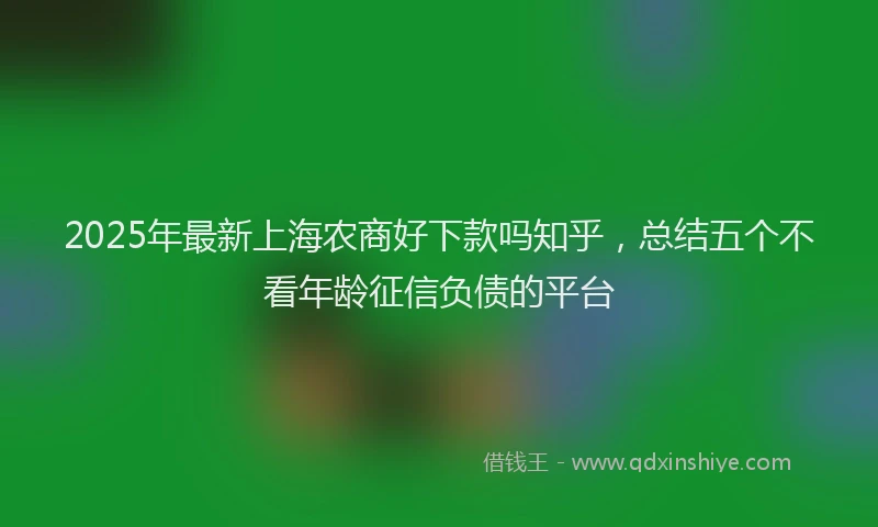 2025年最新上海农商好下款吗知乎，总结五个不看年龄征信负债的平台