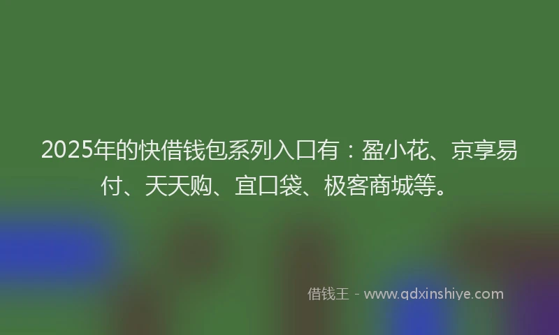 2025年的快借钱包系列入口有：盈小花、京享易付、天天购、宜口袋、极客商城等。