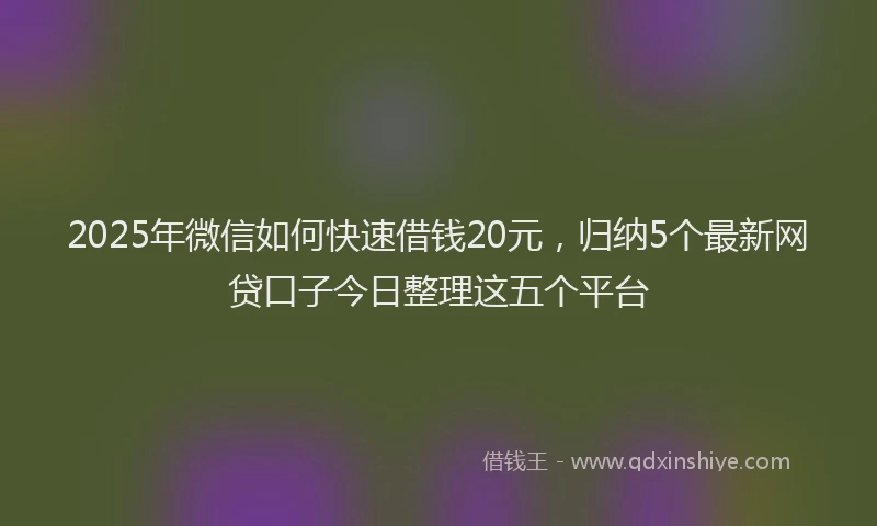 2025年微信如何快速借钱20元，归纳5个最新网贷口子今日整理这五个平台